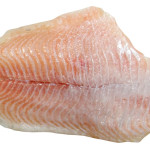 Hundefutter mit Wels: Eine nährstoffreiche Proteinquelle