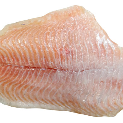 Hundefutter mit Wels: Eine nährstoffreiche Proteinquelle