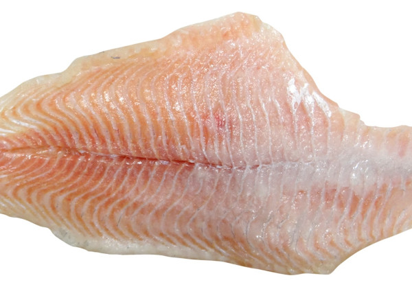 Hundefutter mit Wels: Eine nährstoffreiche Proteinquelle