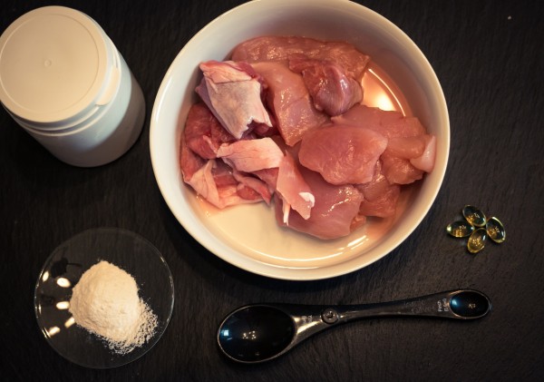 Hunderfutter selber machen: Wie ich lernte, den Napf zu füllen